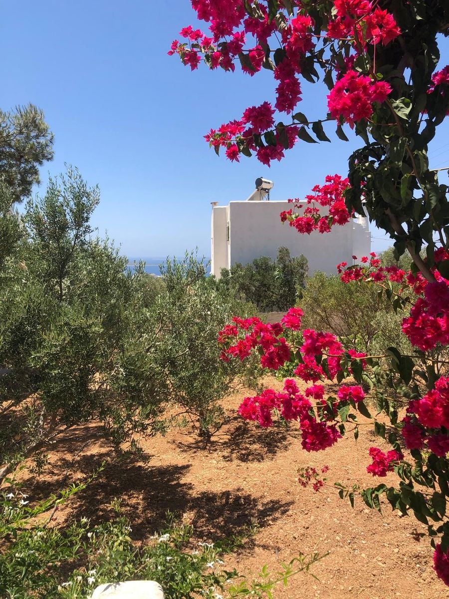 Μεζονέτα 139τ.μ.