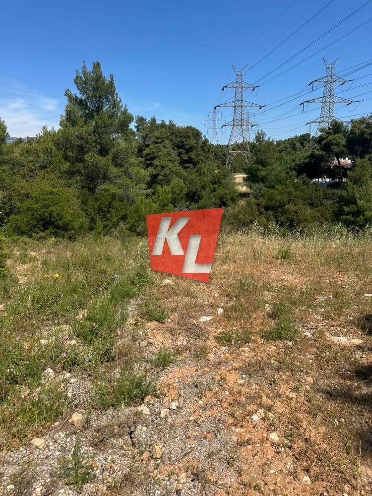 Οικόπεδο 800τ.μ.