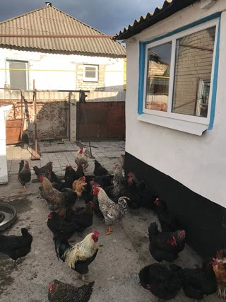 Продам будинок Куп'янськ
