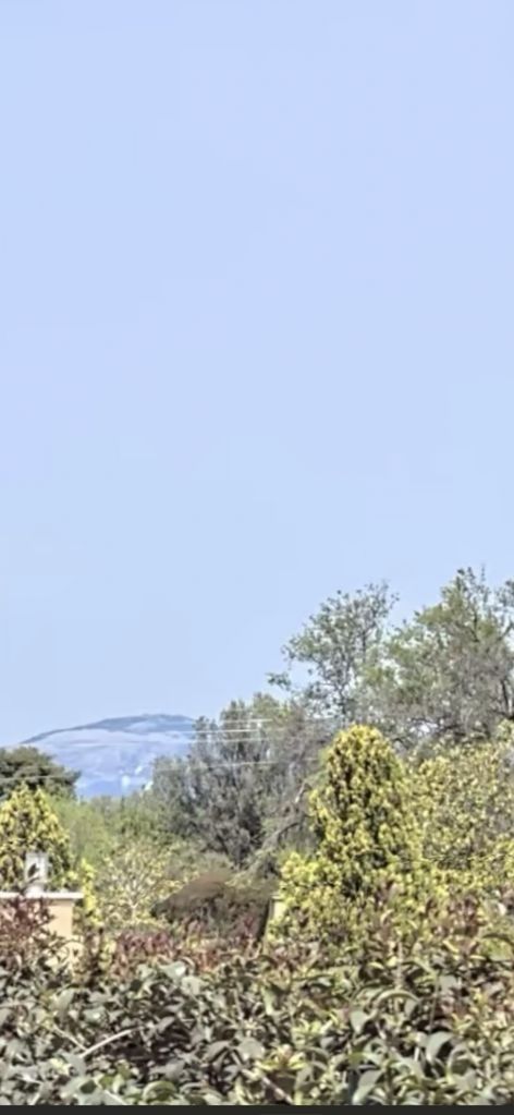 Οικόπεδο 2600 τ.μ.