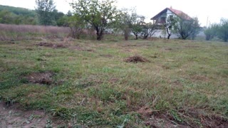 Plot of Derhachi (Luzhok)