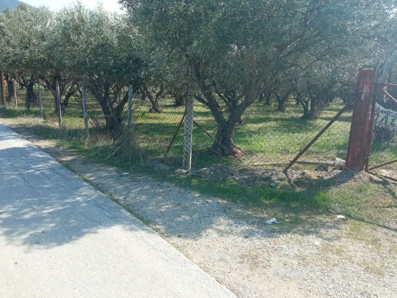 5500 m² Parcel