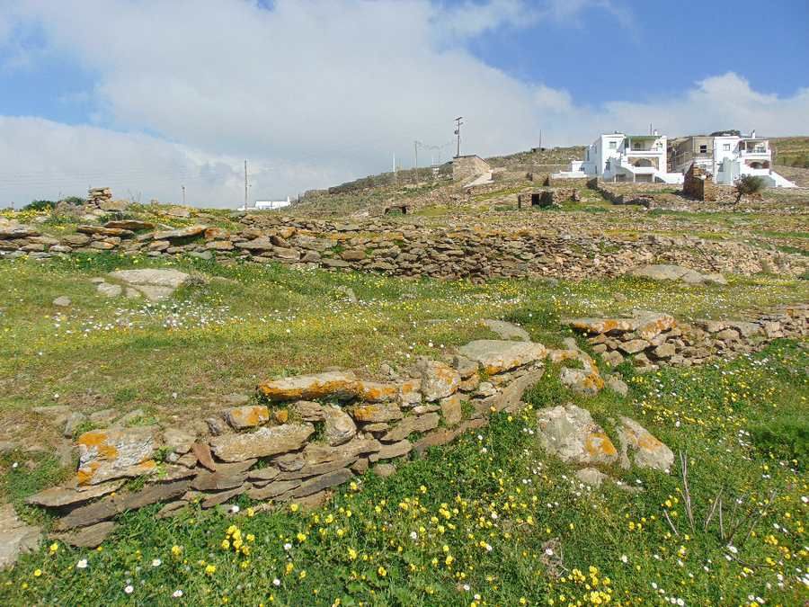 6300 m² Parcel