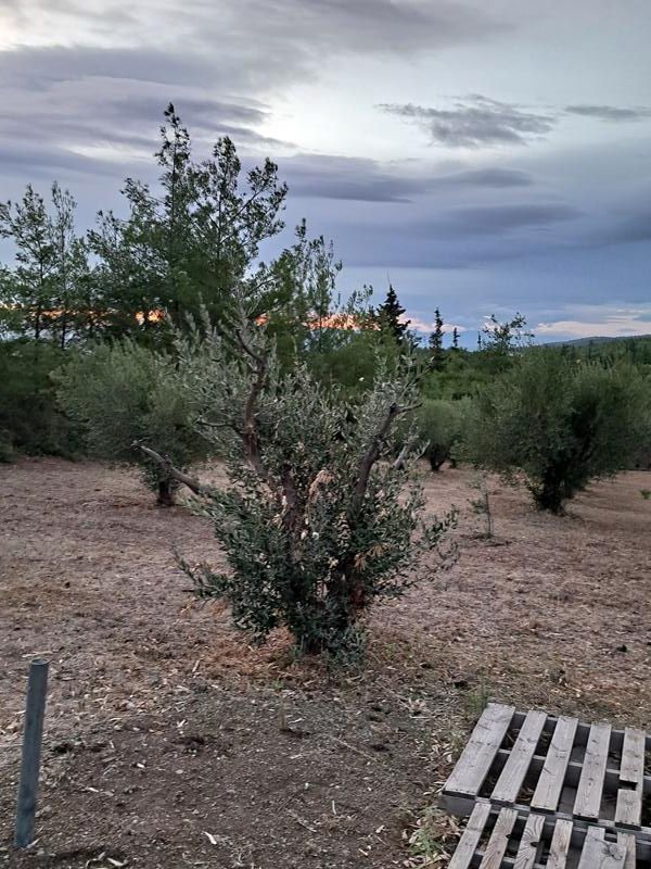 4750 m² Parcel