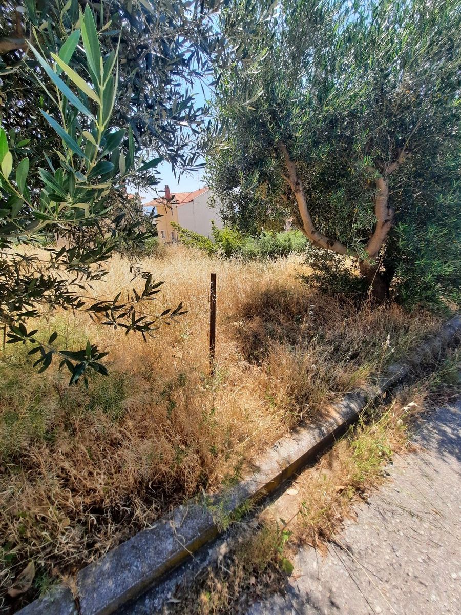 450 m² Plot