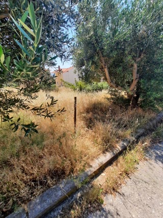 450 m² Plot