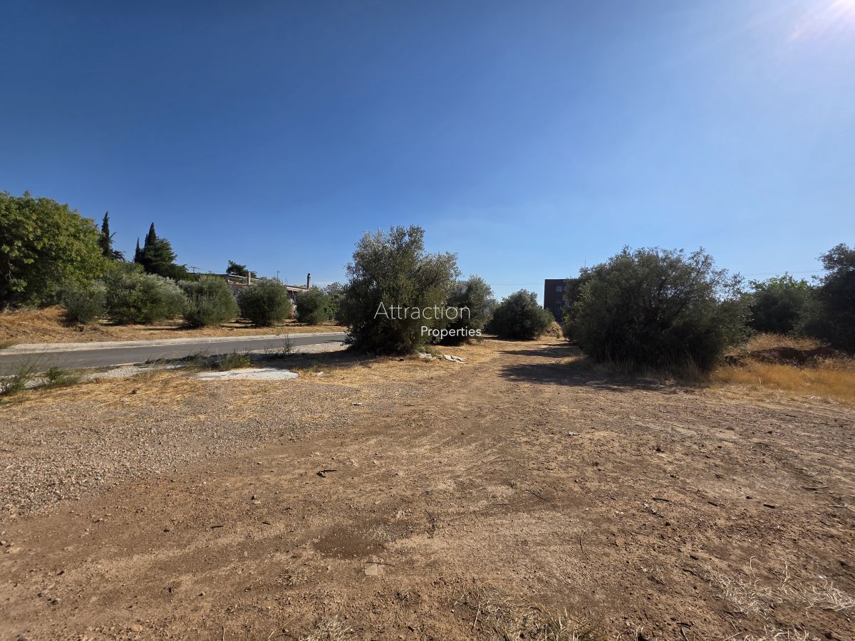 3003 m² Plot