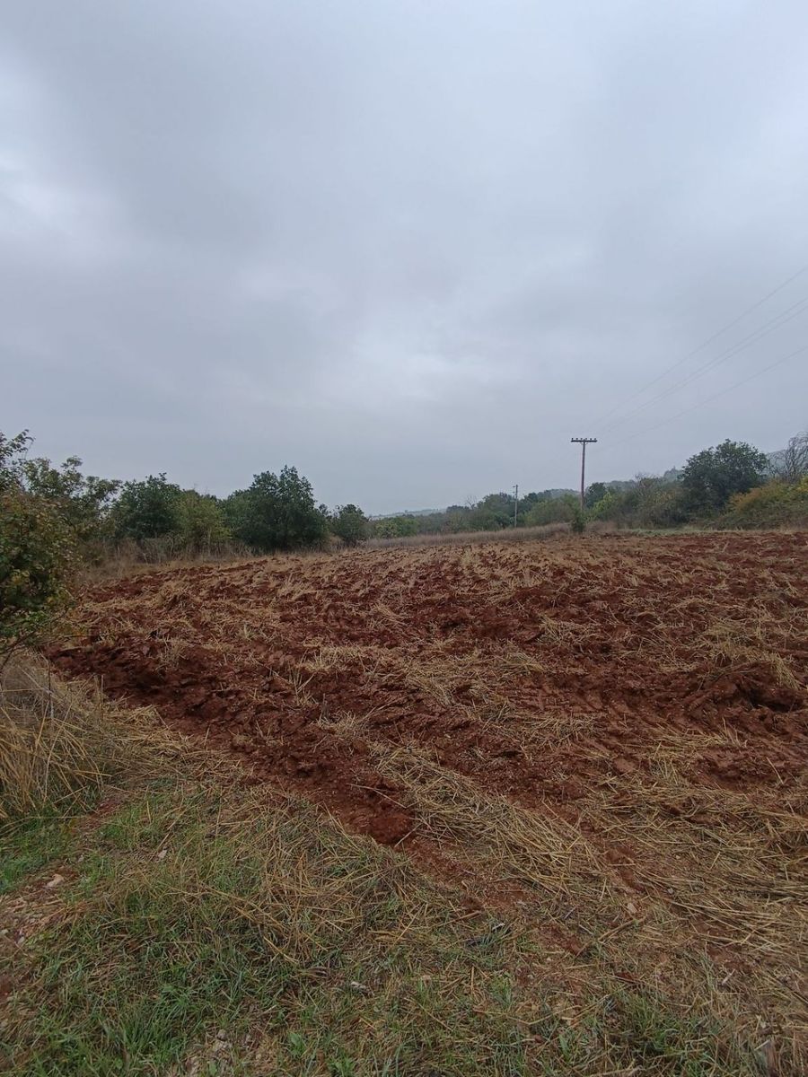 2000 m² Parcel
