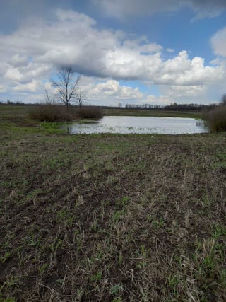 Продам або здам в оренду ділянку