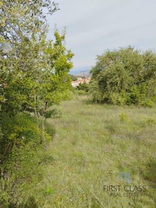 Участок 3562 м²