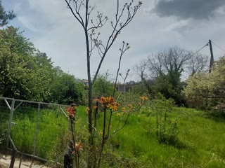 400 m² Plot