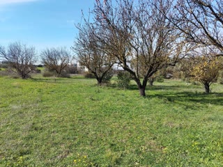 4600 m² Parcel
