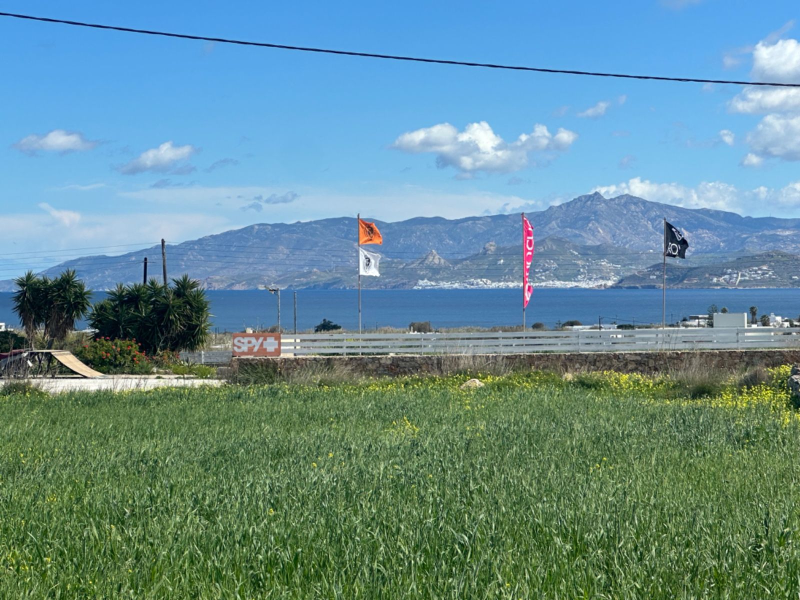 Αγροτεμάχιο 7000τ.μ.