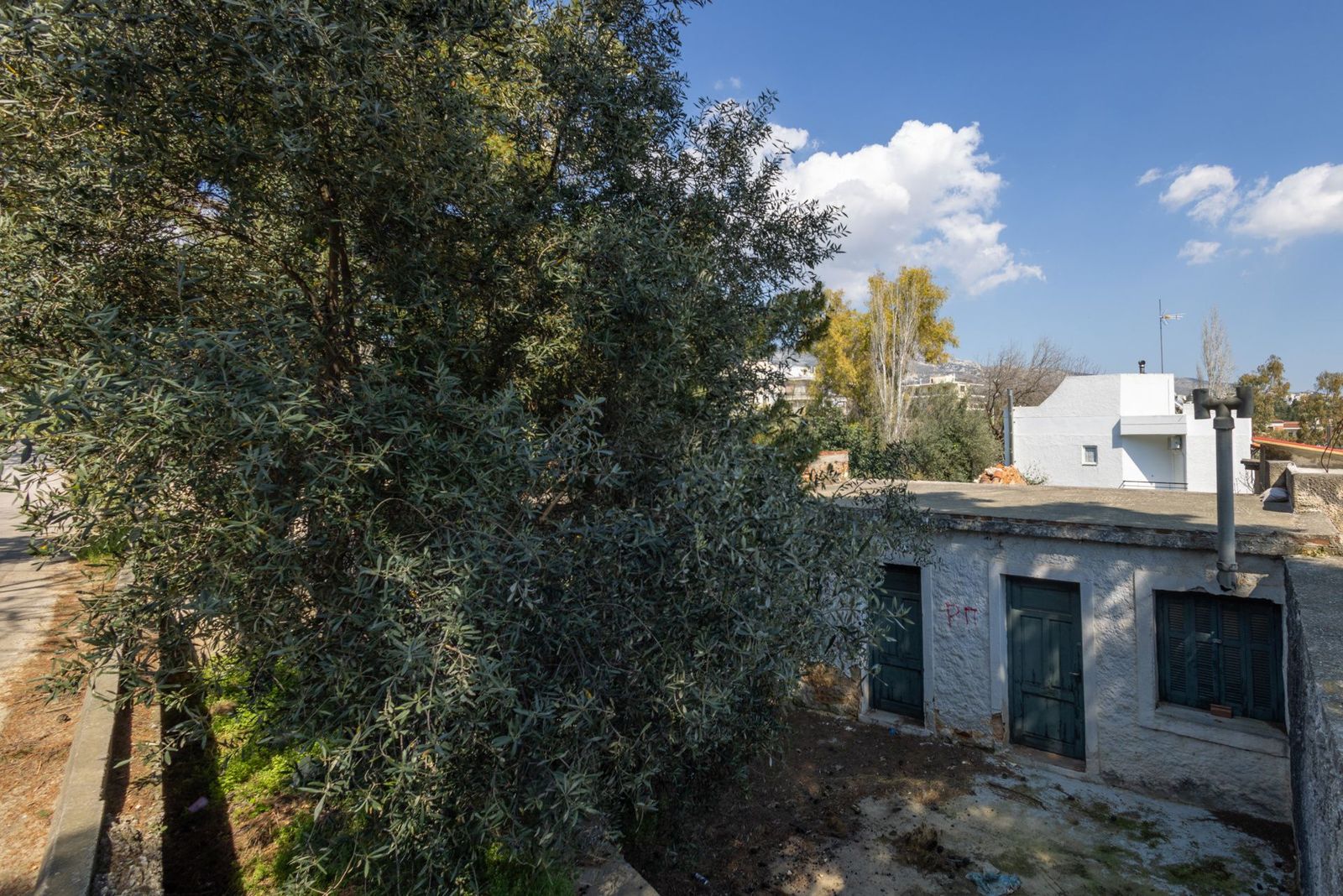 Οικόπεδο 1350 τ.μ.