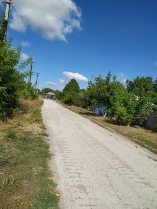 Land plot. 24 acres 45 km from Kharkiv village Rogovka, There is a fruit orchard on the plot