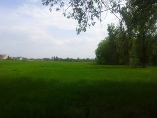 Продам земельну ділянку Солоницівка, Дергачівський р-н