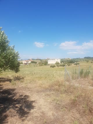 Участок 36000 м²