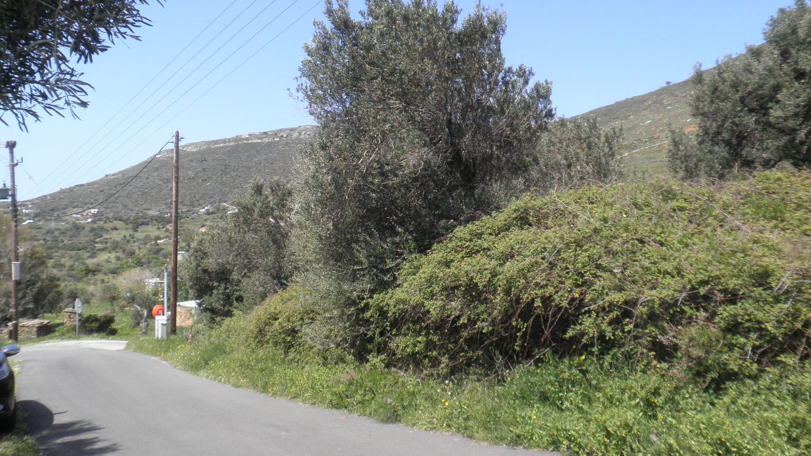 Οικόπεδο 2700τ.μ.