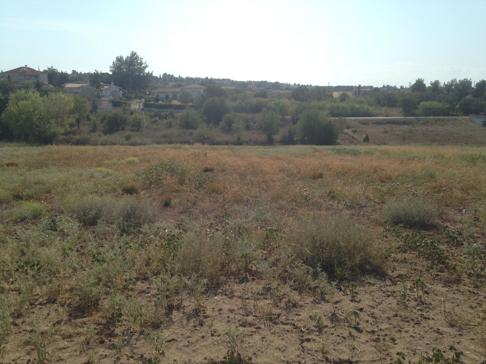 5000 m² Parcel