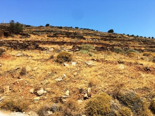7000 m² Parcel