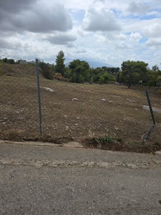 3800 m² Plot