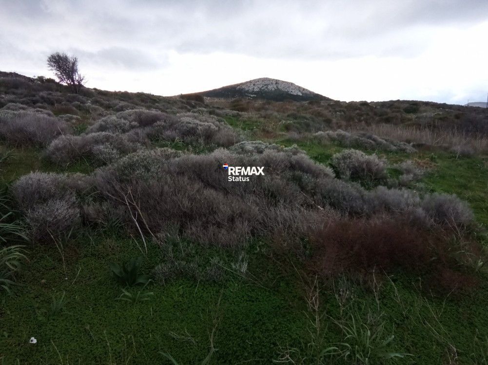 17035 m² Plot
