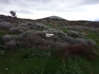 Участок 17035 м²