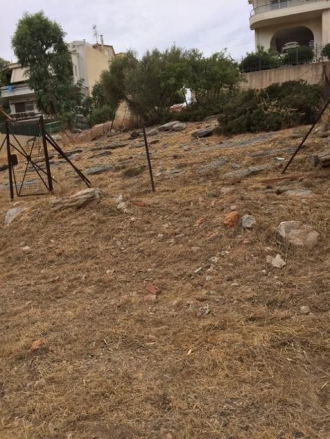 351 m² Plot
