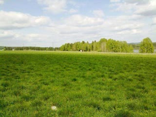 Land plot 0.5939 ha