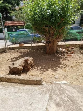 360 m² Plot