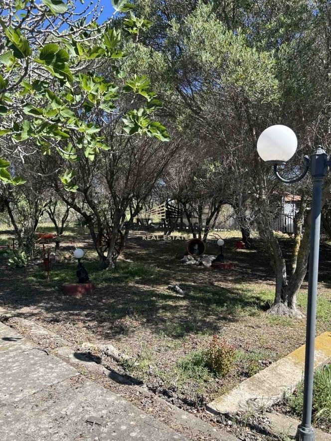 960 m² Parcel