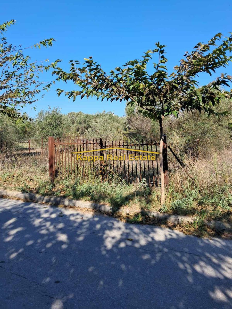 520 m² Plot