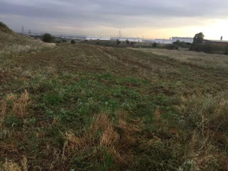 10500 m² Parcel