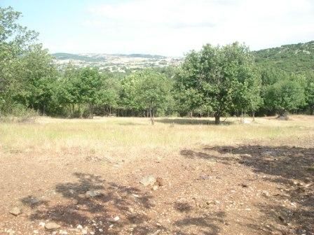 Участок 4153 м²