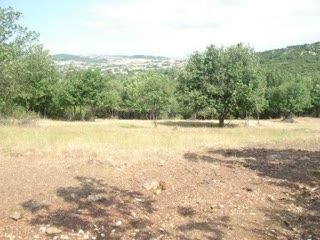 Αγροτεμάχιο 4153τ.μ.