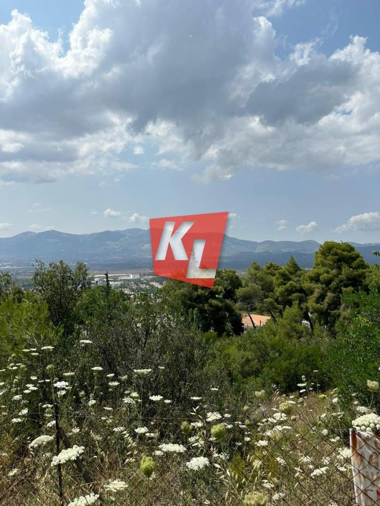 Οικόπεδο 2060τ.μ.