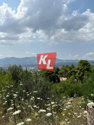 2060 m² Plot