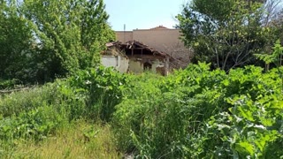 490 m² Plot