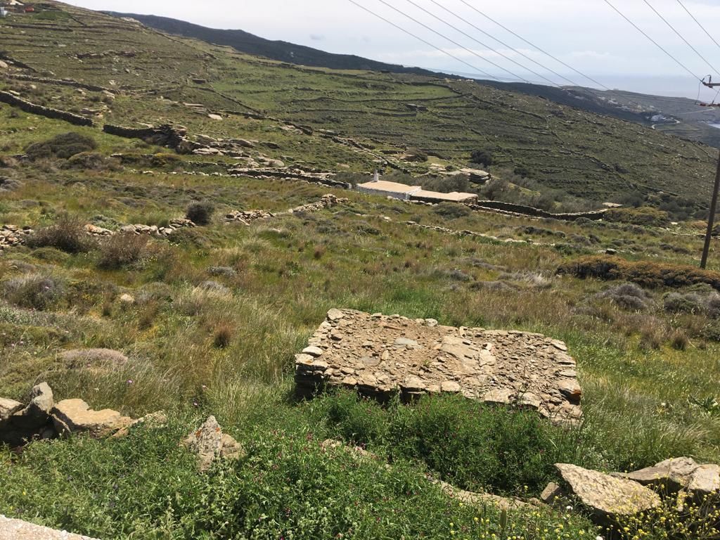 4654 m² Parcel