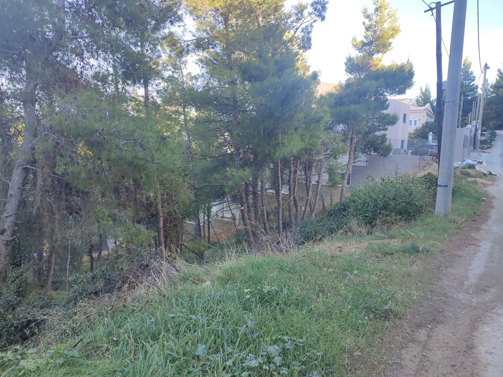 Οικόπεδο 1600 τ.μ.