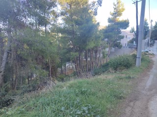 1600 m² Plot