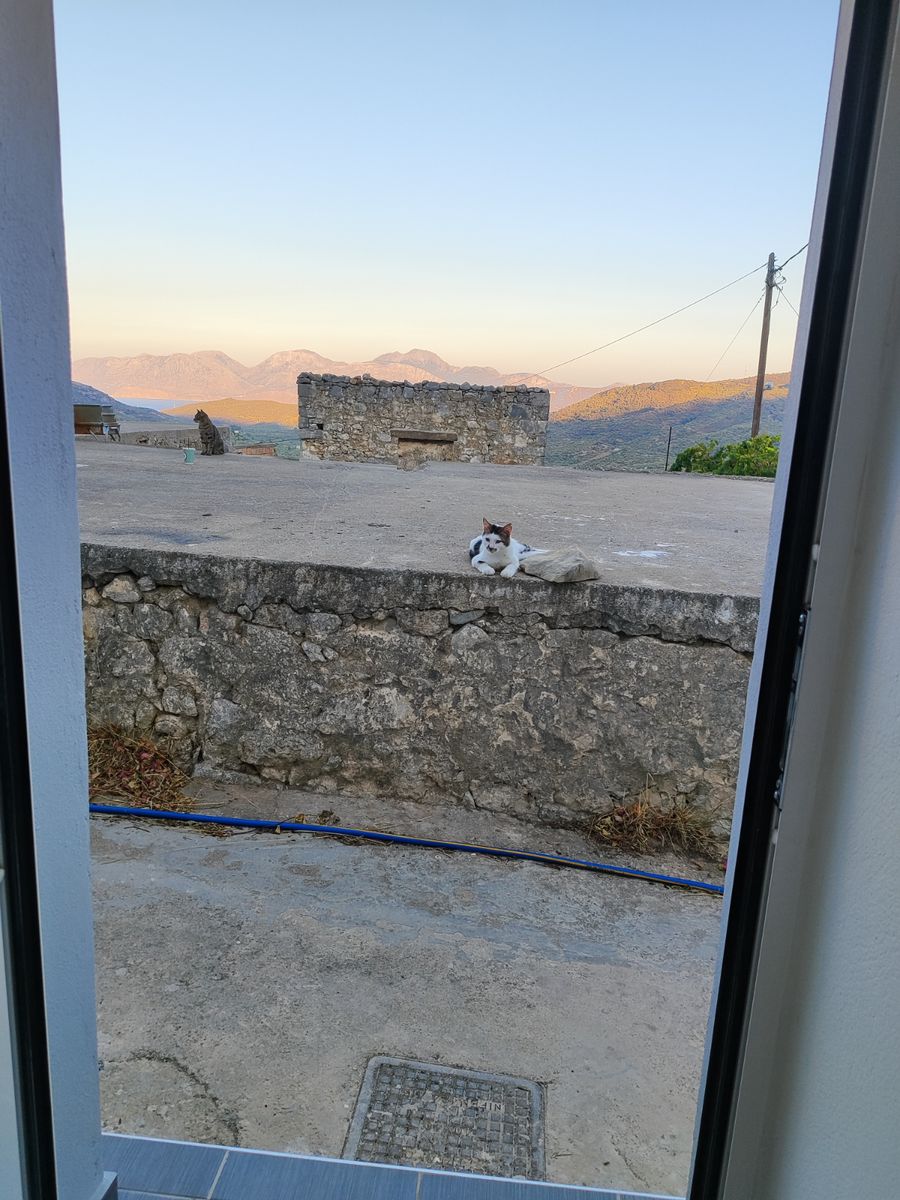 Μονοκατοικία 50τ.μ.
