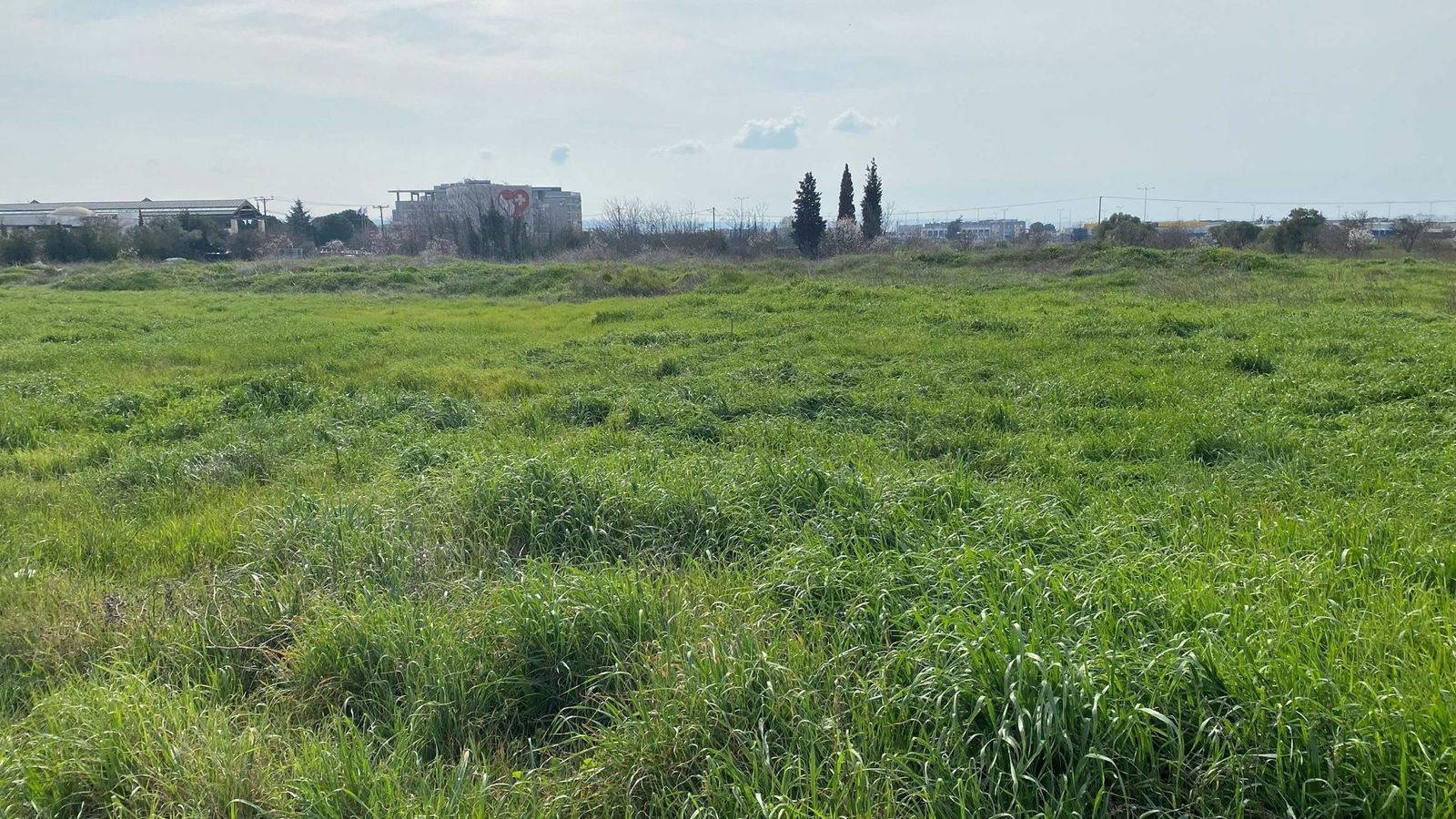 Αγροτεμάχιο 6350 τ.μ.