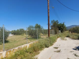 13,100 m² Parcel