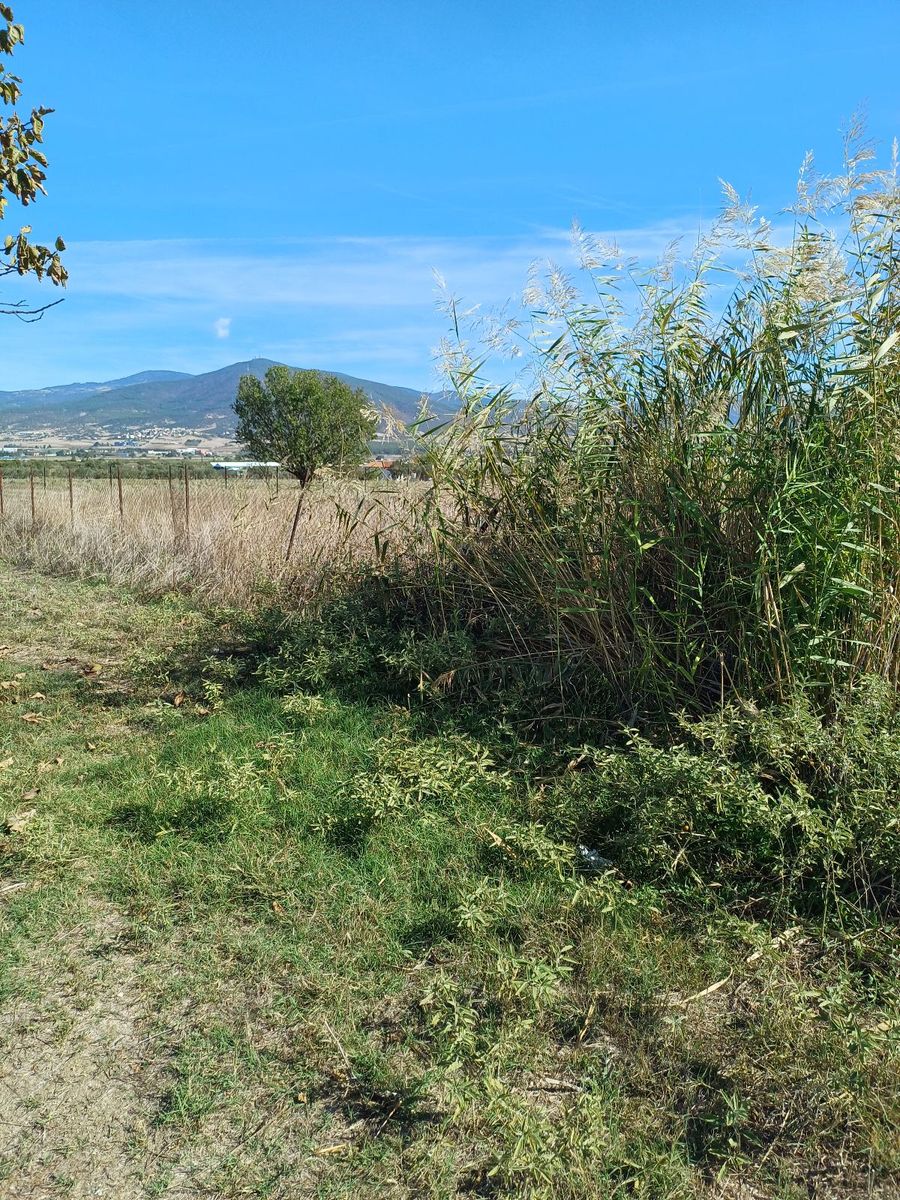 4000 m² Parcel