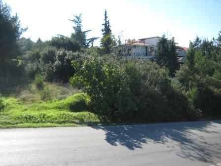 1000 m² Plot