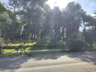 1588 m² Plot