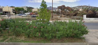 2237 m² Plot