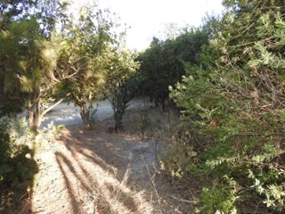45 m² Detached House