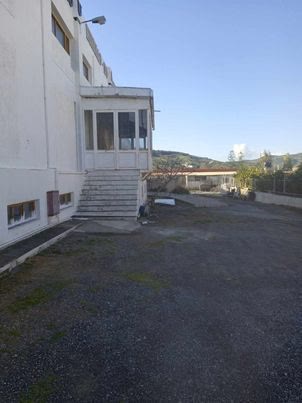 2950 m² Business Building